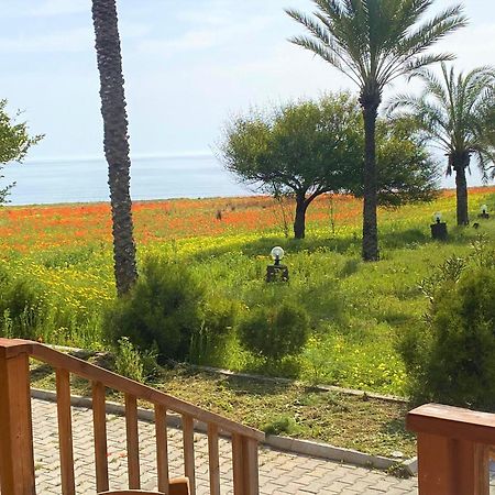 Paradise Karpaz Hotel & Restaurant Rizokarpaso Exteriér fotografie