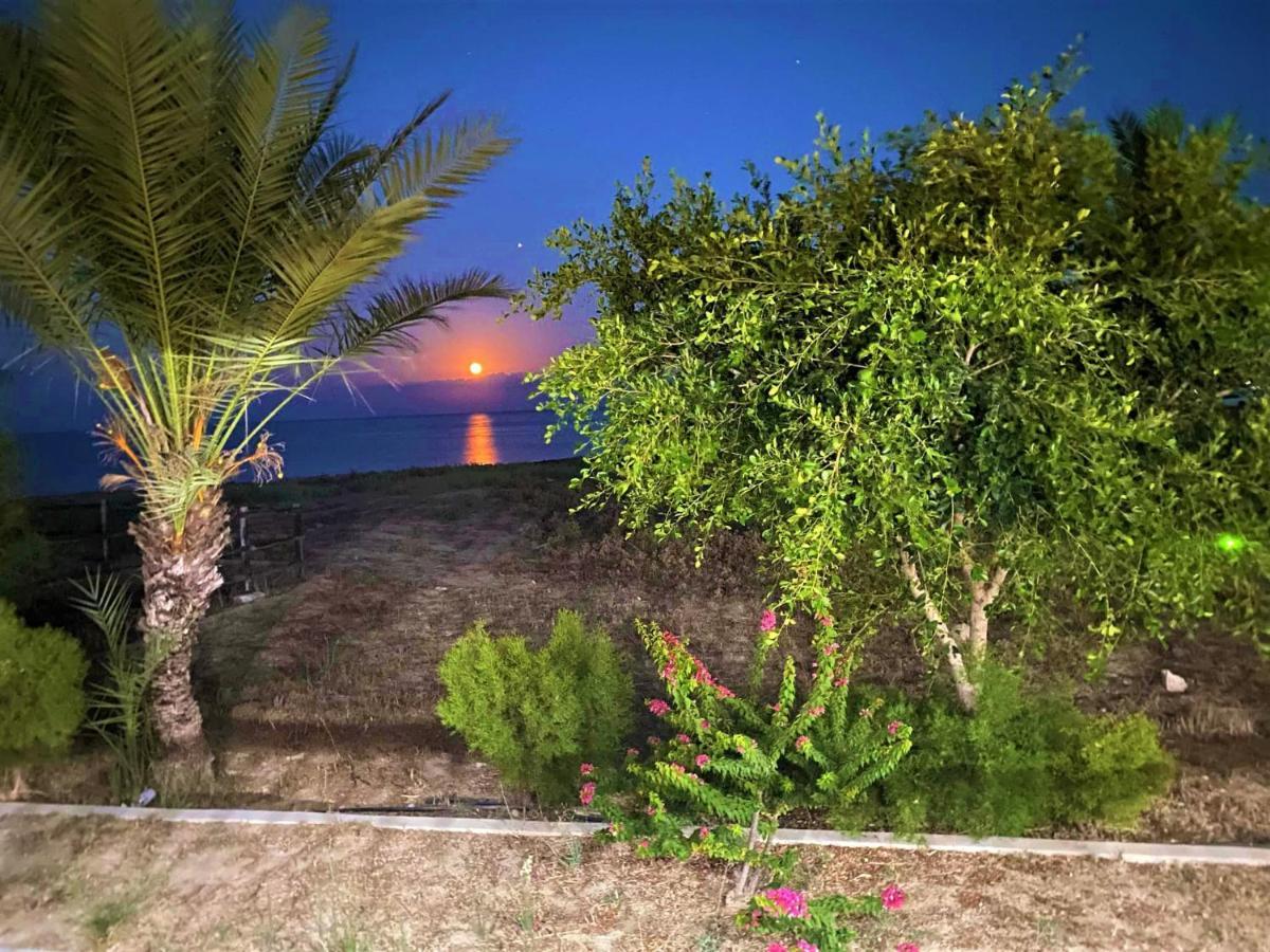 Paradise Karpaz Hotel & Restaurant Rizokarpaso Exteriér fotografie